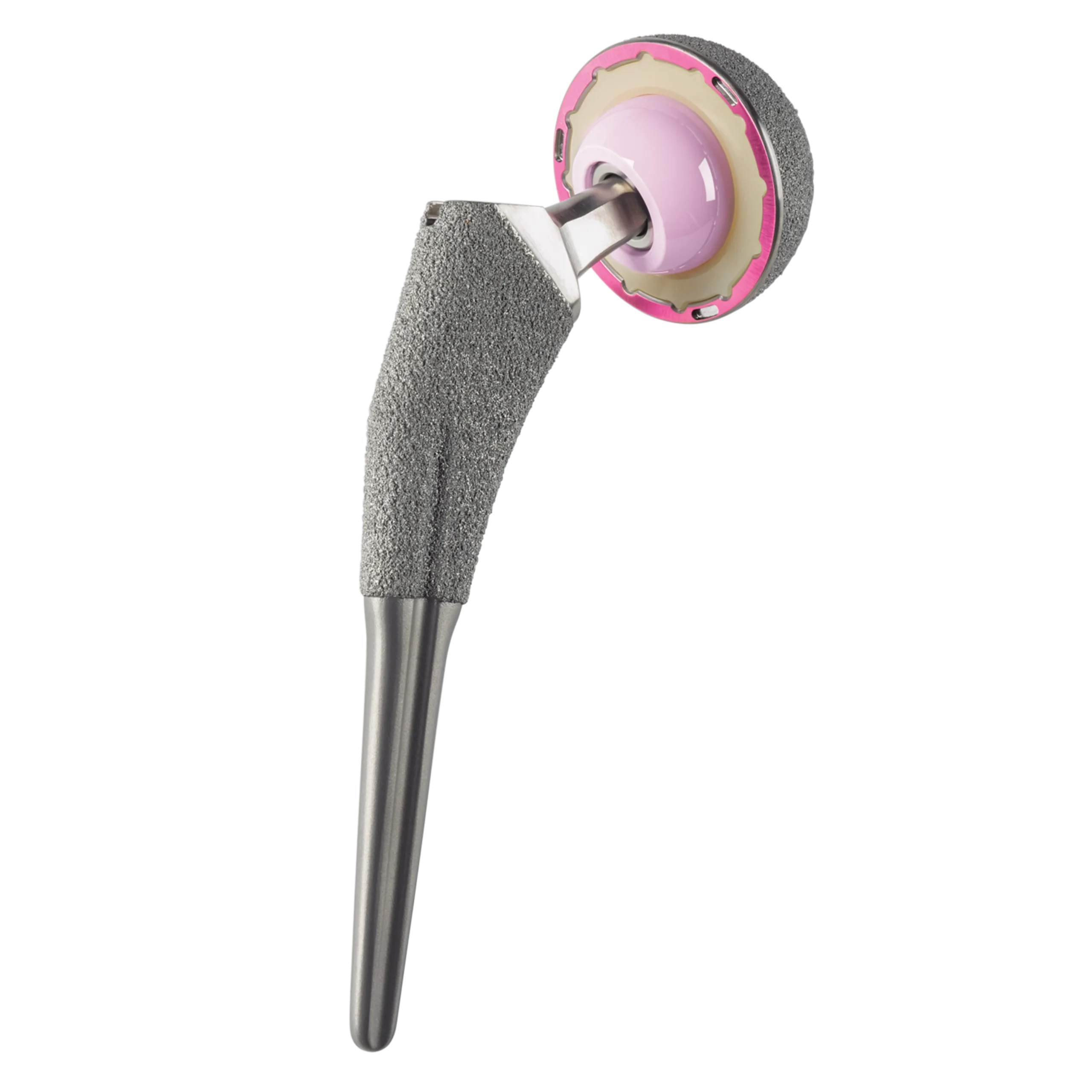 protese total de quadril